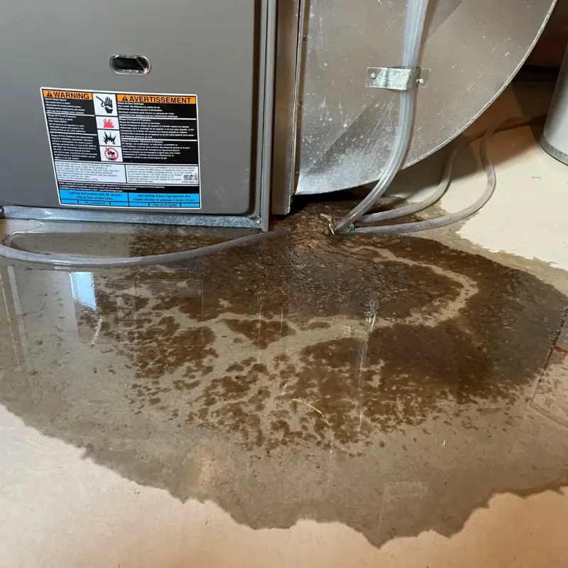 Appliance Leak Cleanup in Tobaccoville, NC